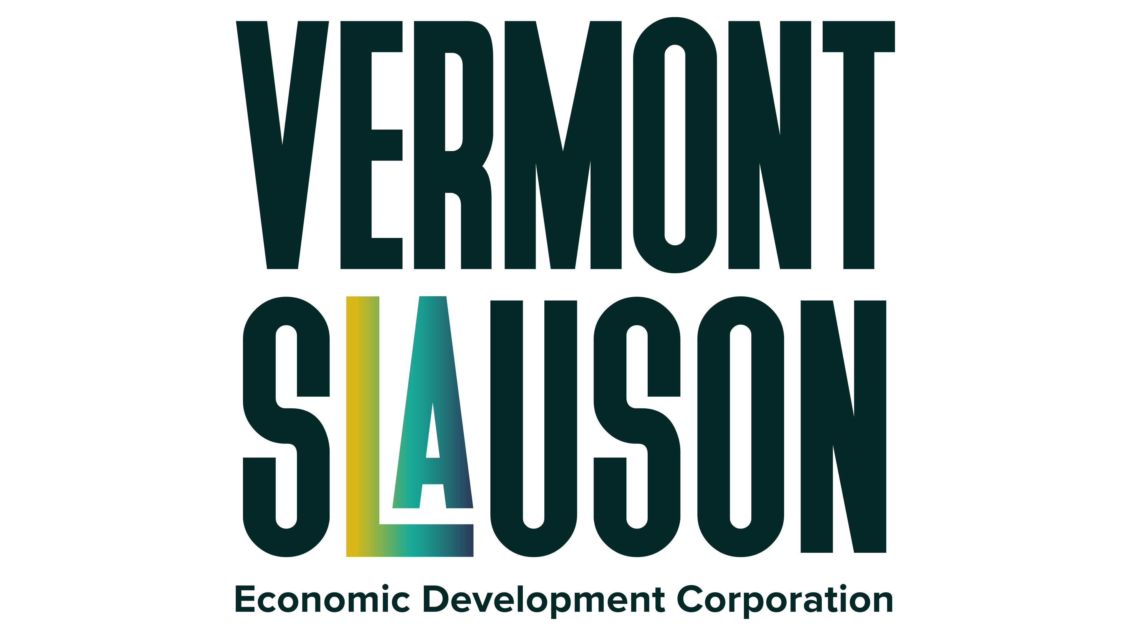 VSEDC logo